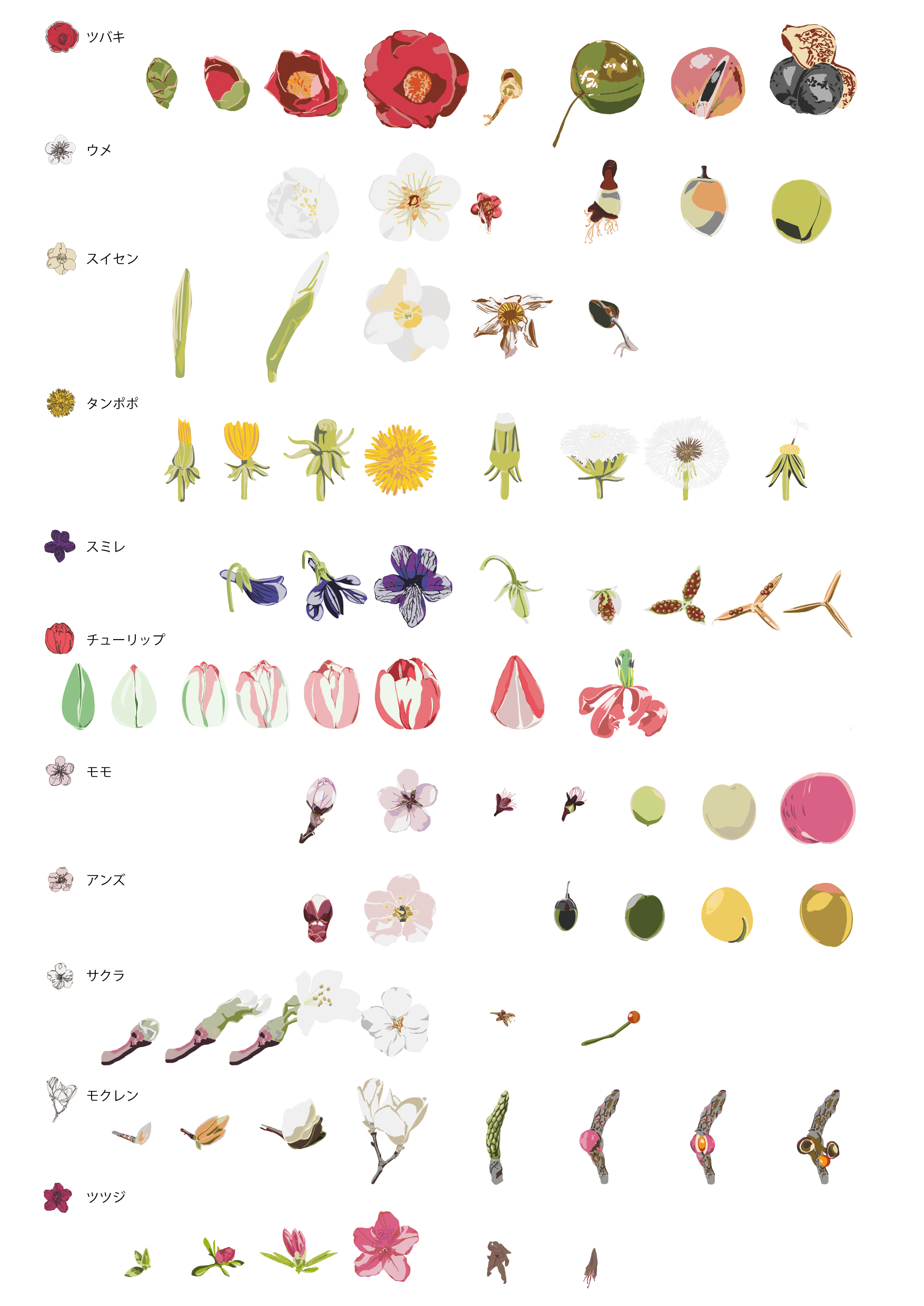 植物の変遷の図01